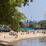 The Beaches Community — News & Updates