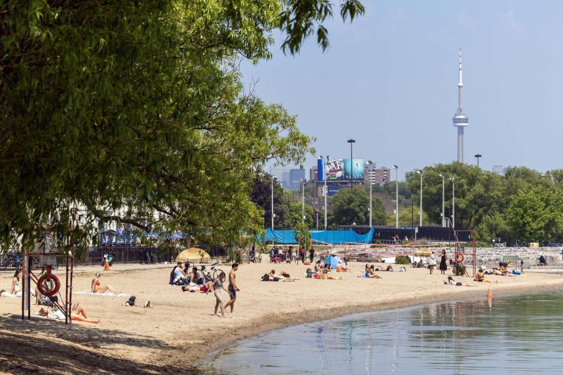 The Beaches Community — News & Updates
